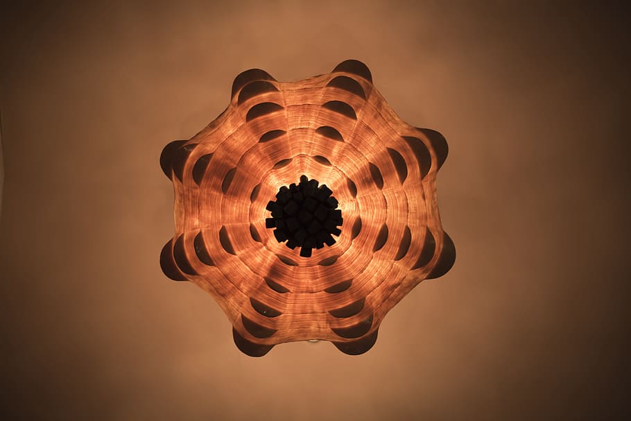 ceiling, chandelier, orange, shell, seashell, no people, nature HD wallpaper
