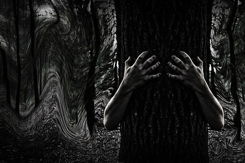 grayscale photo of person's hand hugging tree trunk, dark, mystery HD wallpaper