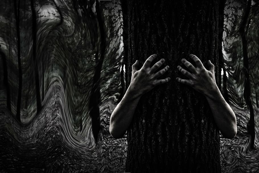 grayscale photo of person's hand hugging tree trunk, dark, mystery