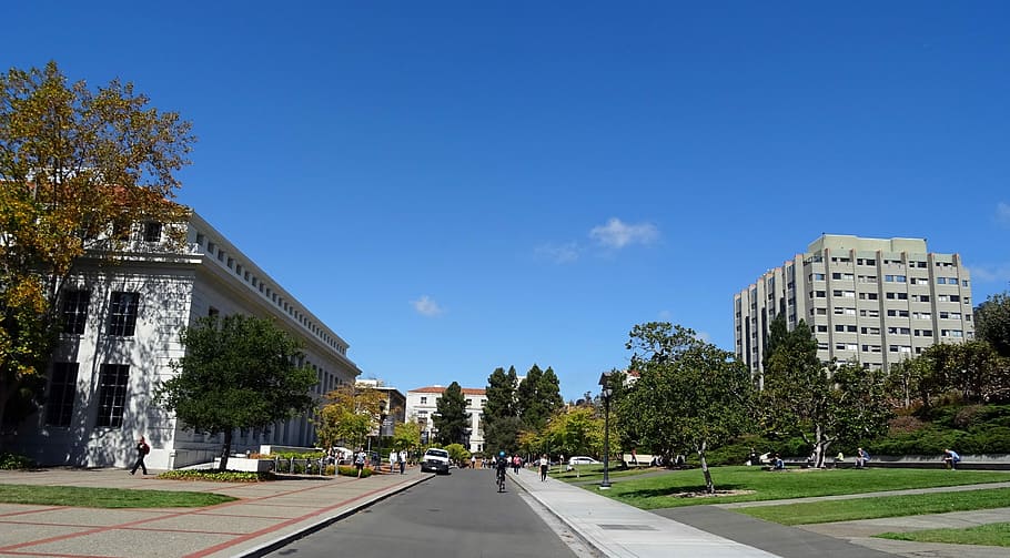 University, Building, Campus, California, berkeley, architecture, HD wallpaper