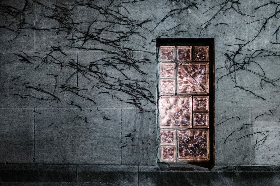 closed clear glass window, gray building with glass window, wall HD wallpaper