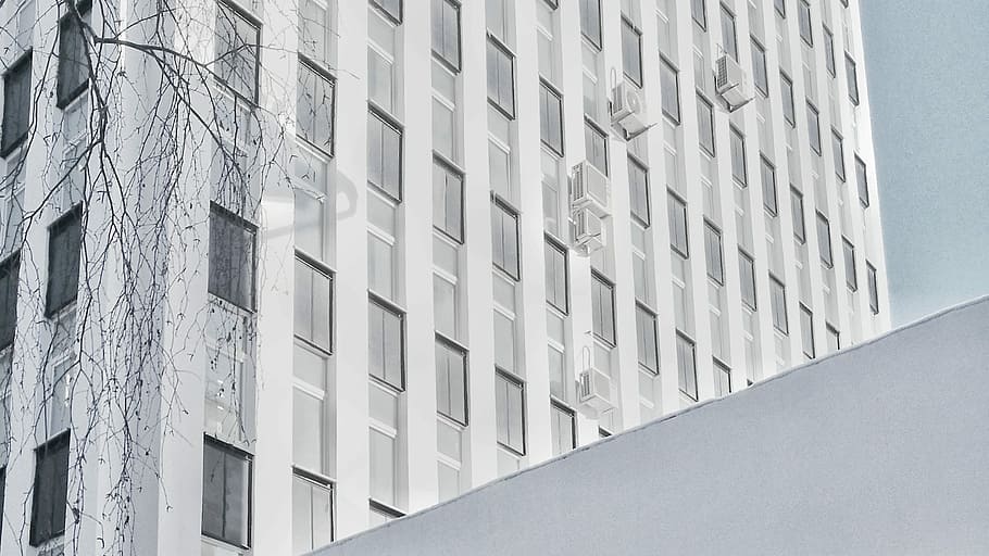 white painted house, grey concrete building near withered tree HD wallpaper