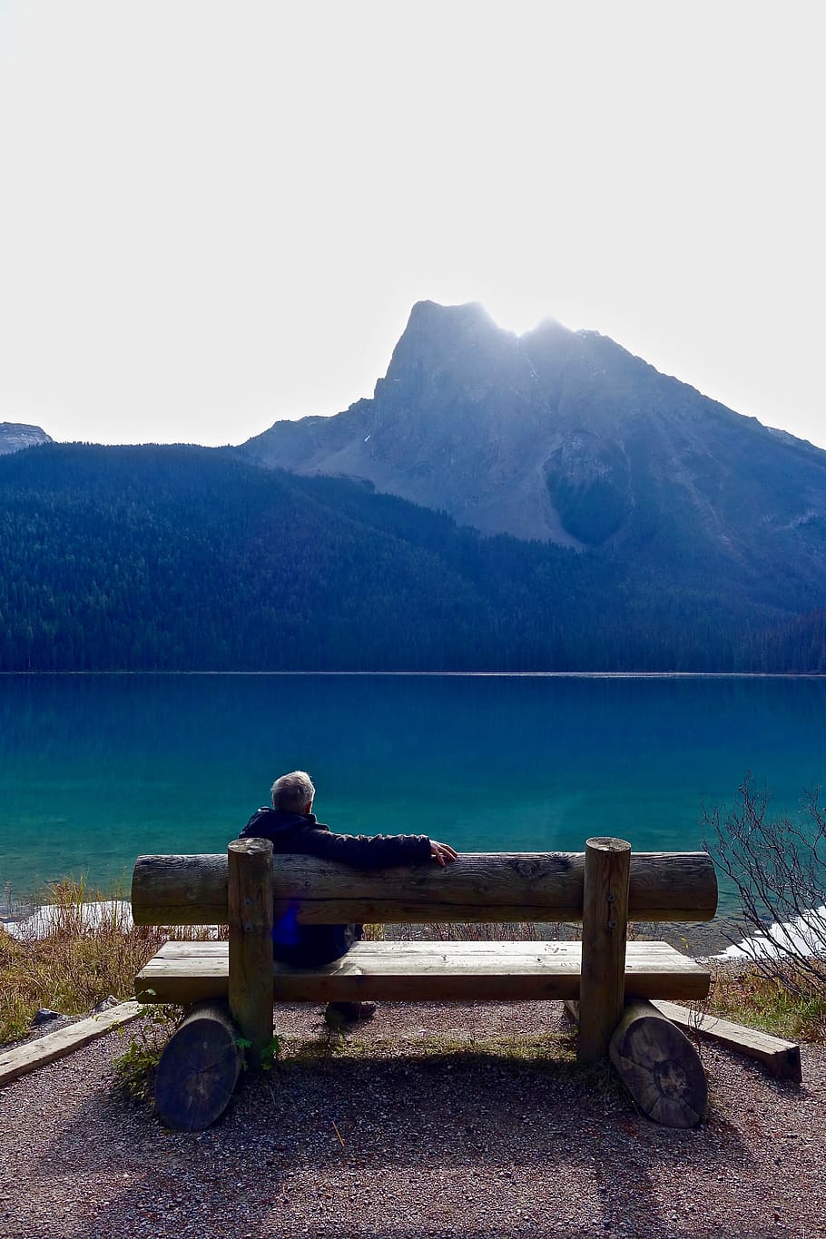 man sitting on brown wooden bench in front of lake during daytime, HD wallpaper