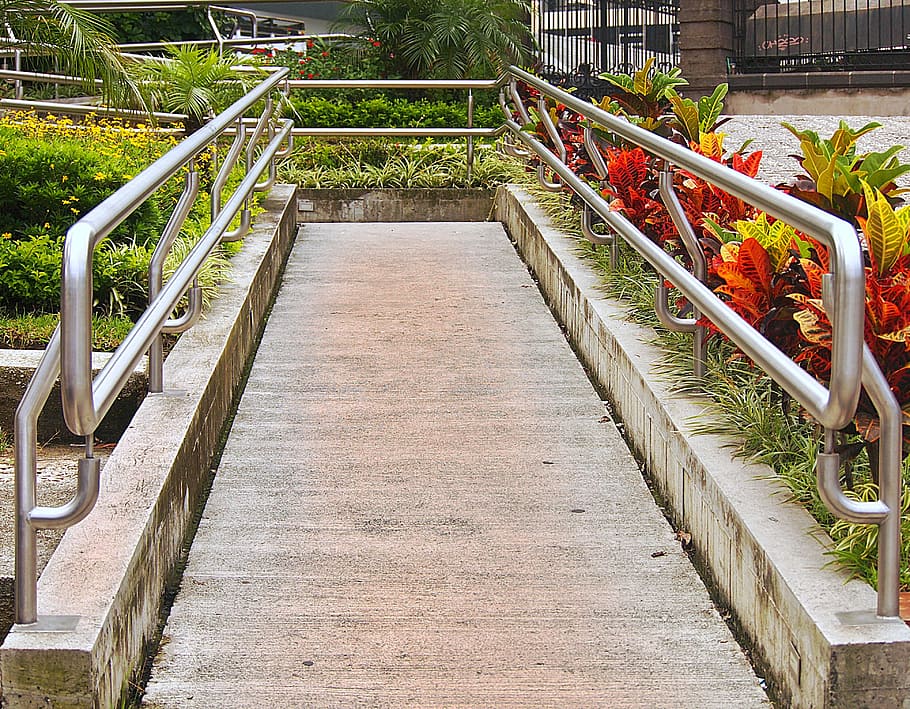 path, hall, ascent, rails, flowers, green area, step, railing HD wallpaper