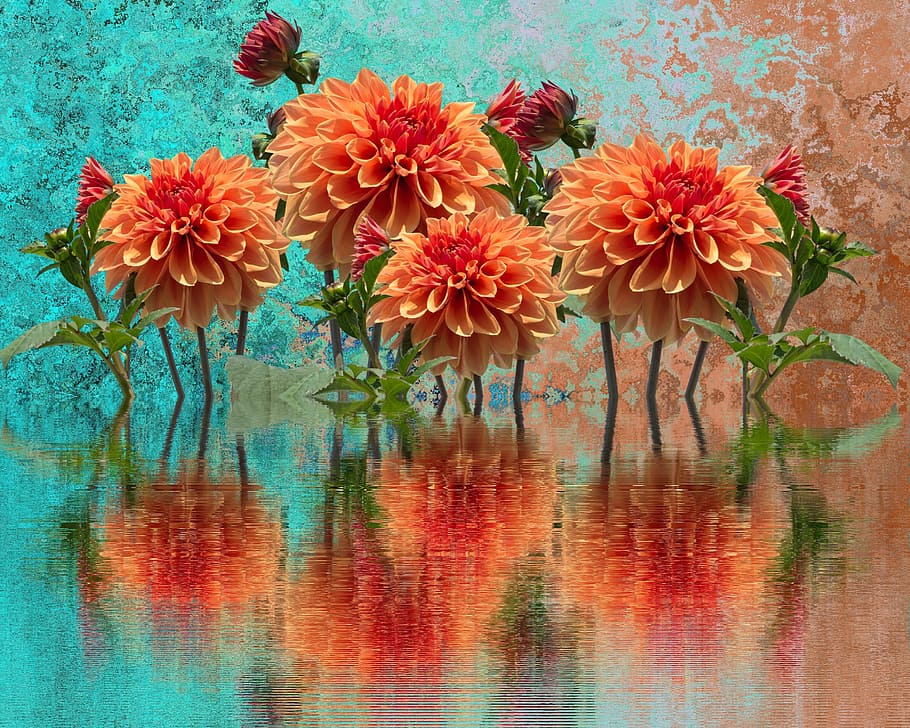orange flowers painting, dahlias, autumn, dahlia garden, blossom
