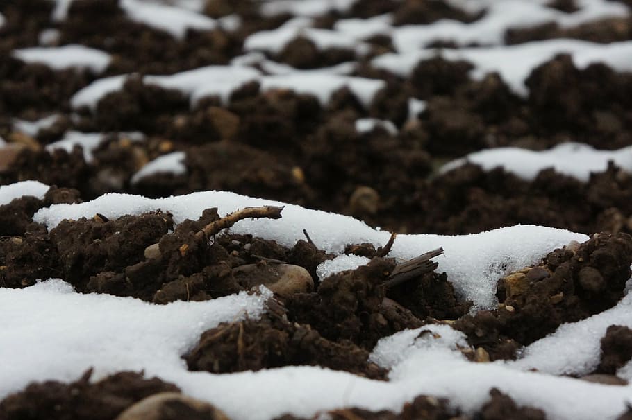 earth, snow, brown, white, new zealand, frozen, structure, pattern HD wallpaper