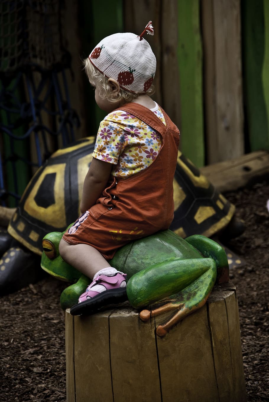Child, Playground, Frog, Turtle, childhood, kid, park, activity HD wallpaper