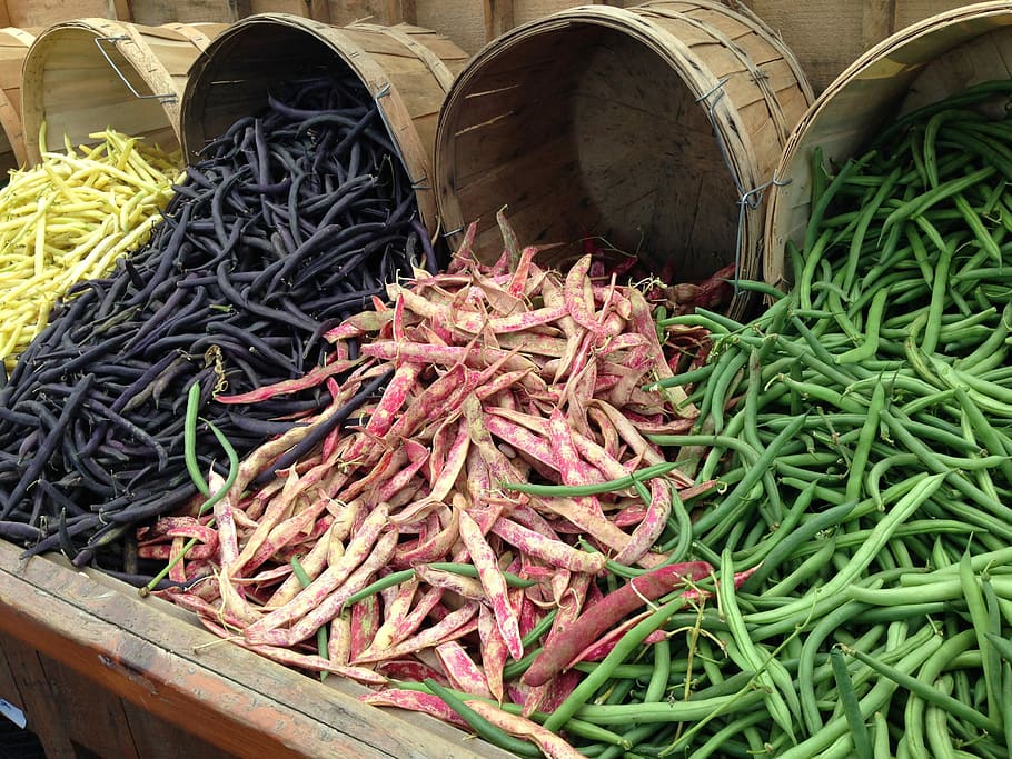 Different Colored String beans, green, public domain, purple HD wallpaper