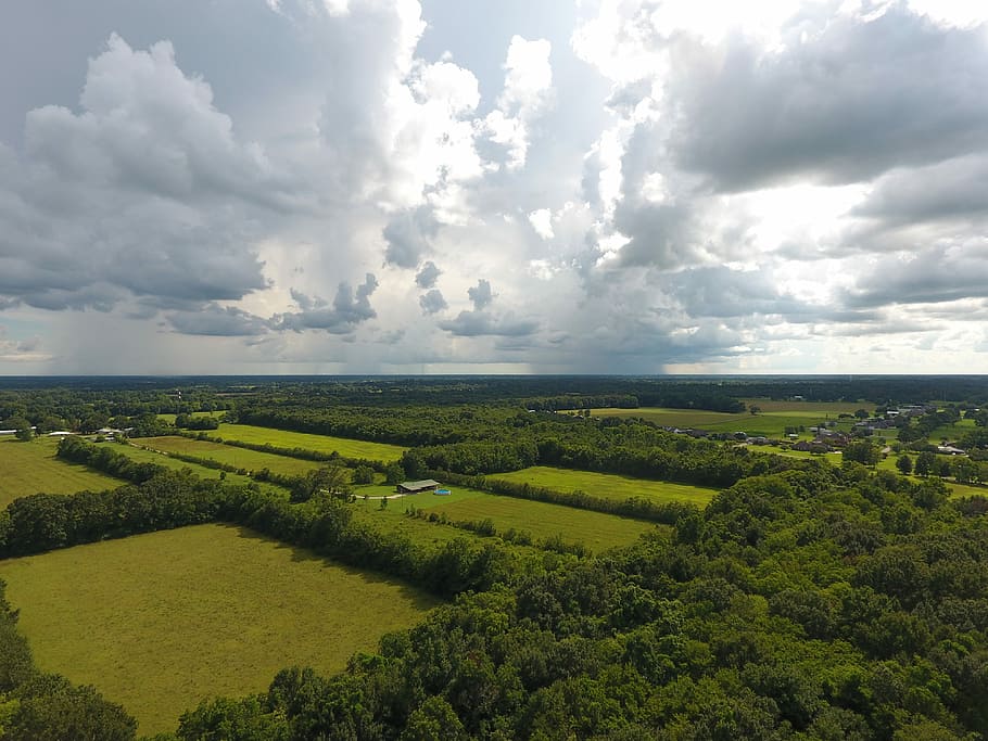 LOUISIANA SKY, green trees and grass field under white clouds during daytime HD wallpaper