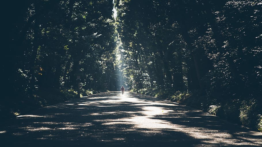 person standing in middle of asphalt road surrounded by trees HD wallpaper