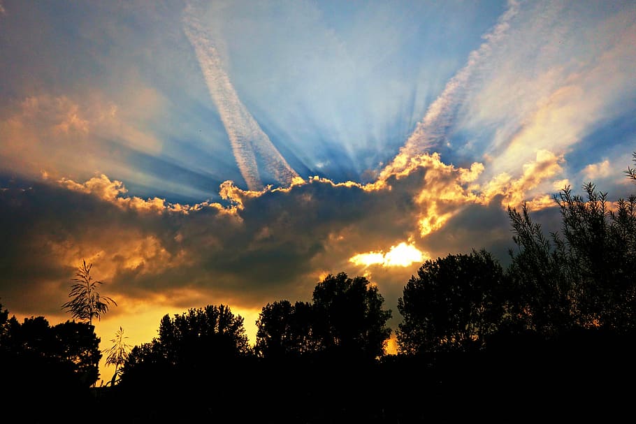 tree silhouette during sunset, evening sky, dusk, light rays HD wallpaper