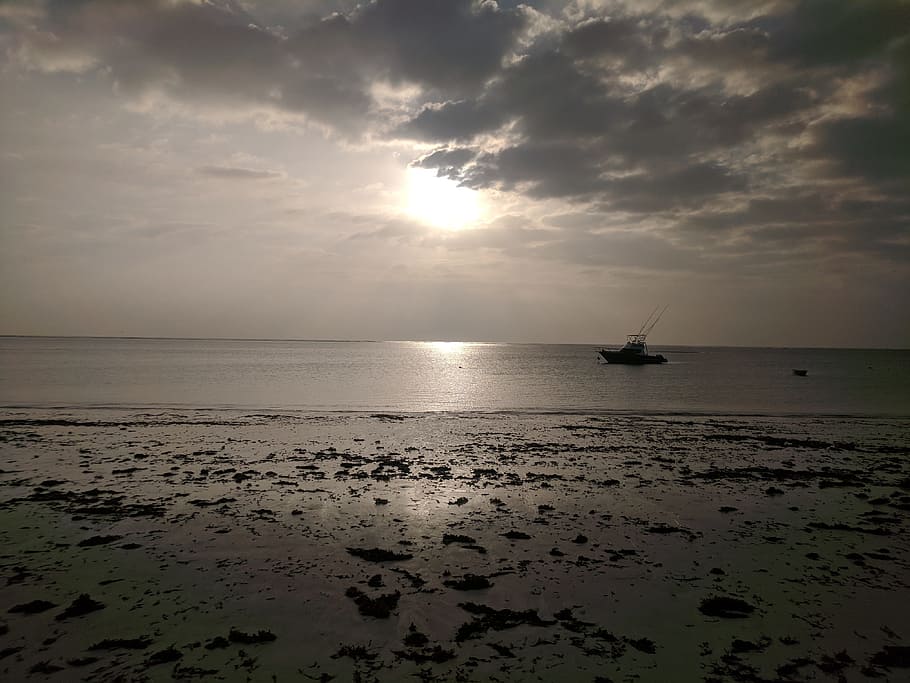 sunset, water, dawn, sea, beach, sky, cloud - sky, scenics - nature HD wallpaper