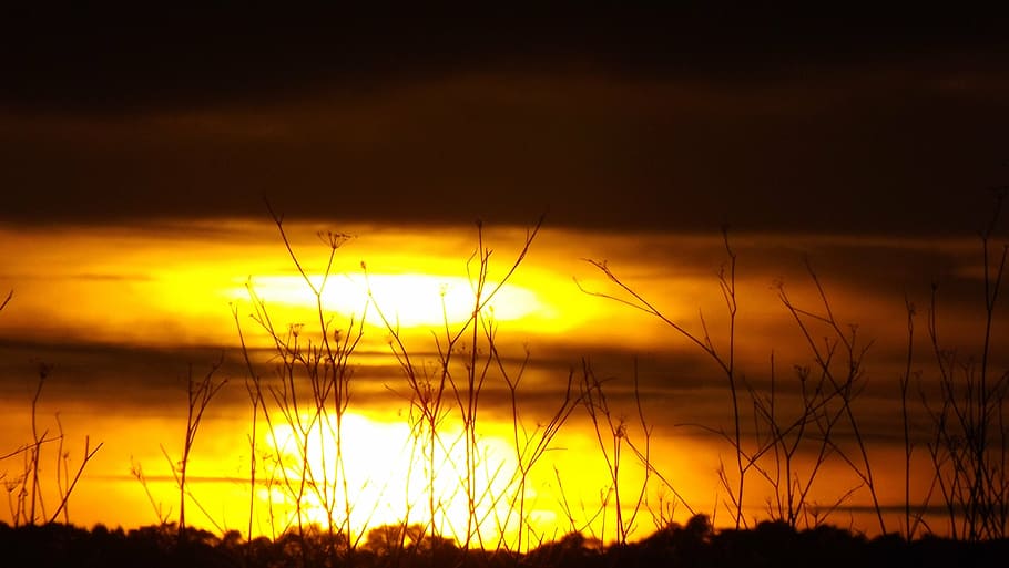 sunset, orange, nature, backlight, sky, silhouette, beauty in nature HD wallpaper
