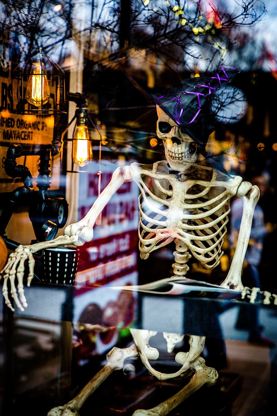 Halloween, Skeleton, Spooky, Scary, Fun, october, horror, skull HD wallpaper