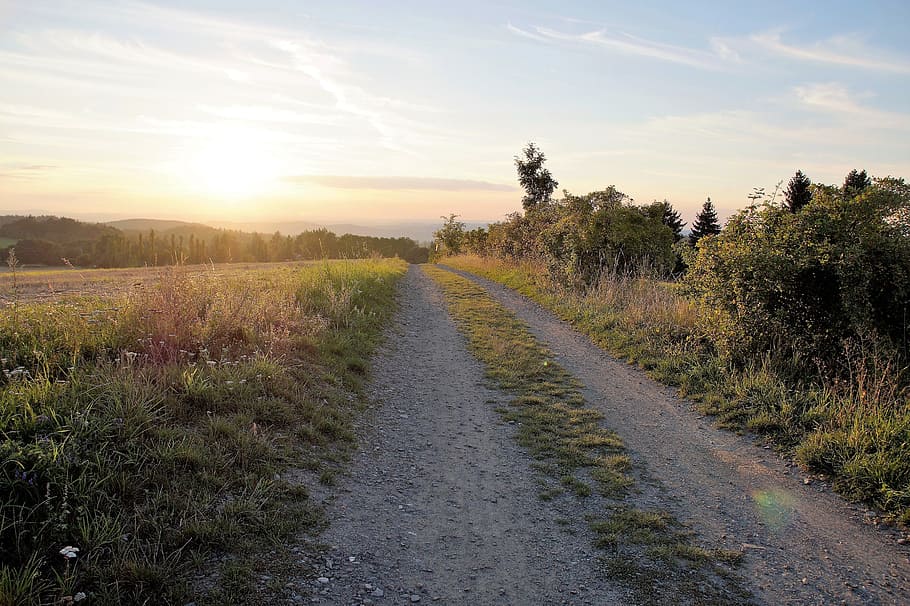 Path, Field, Landscape, Twilight, evening, sunset, summer, gravel HD wallpaper