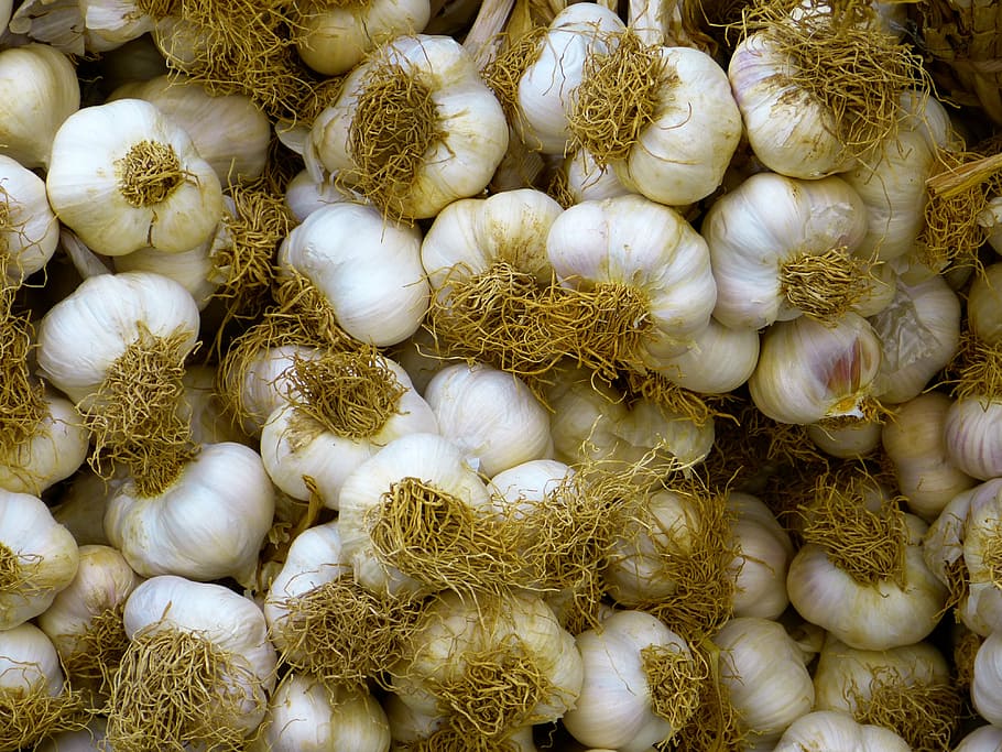 garlic, white, food, food and drink, backgrounds, large group of objects HD wallpaper