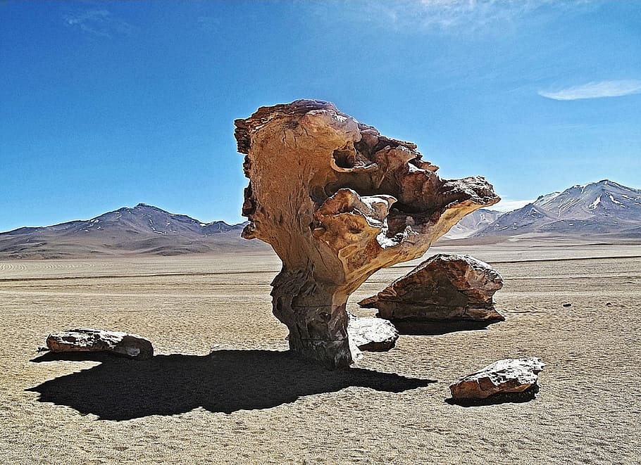 bolivia, tree, pierre, sky, scenics - nature, landscape, environment HD wallpaper
