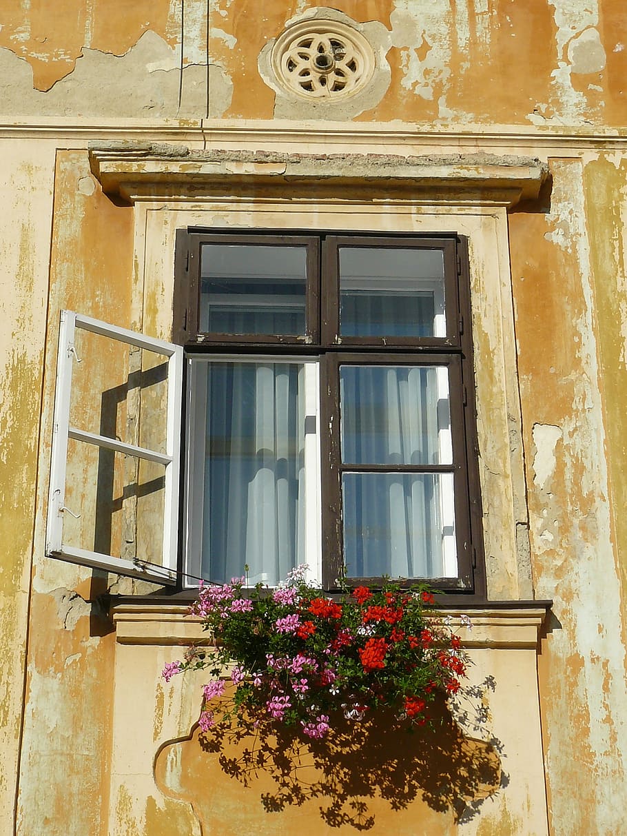 window, old, geranium, open, building exterior, built structure HD wallpaper