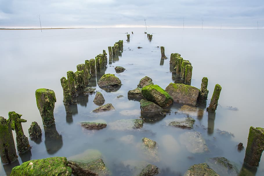 waters, nature, sea, grass, plant, coast, sky, landscape, beach HD wallpaper