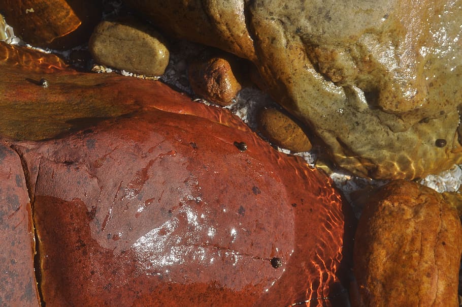 closeup, desktop, stones, beach, pebbles, seawater, close-up HD wallpaper