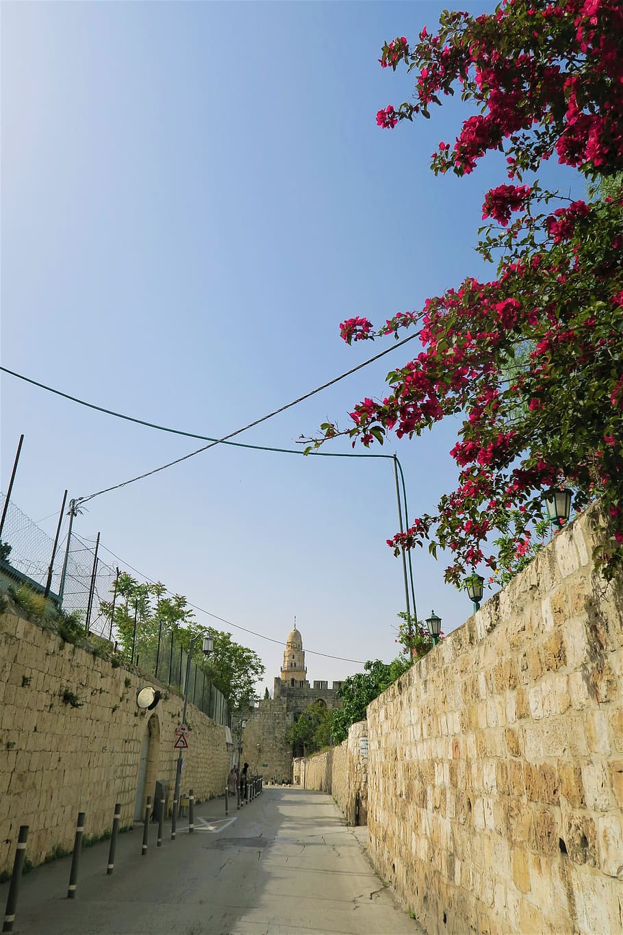 on, city, jerusalem, sky, plant, nature, architecture, built structure HD wallpaper