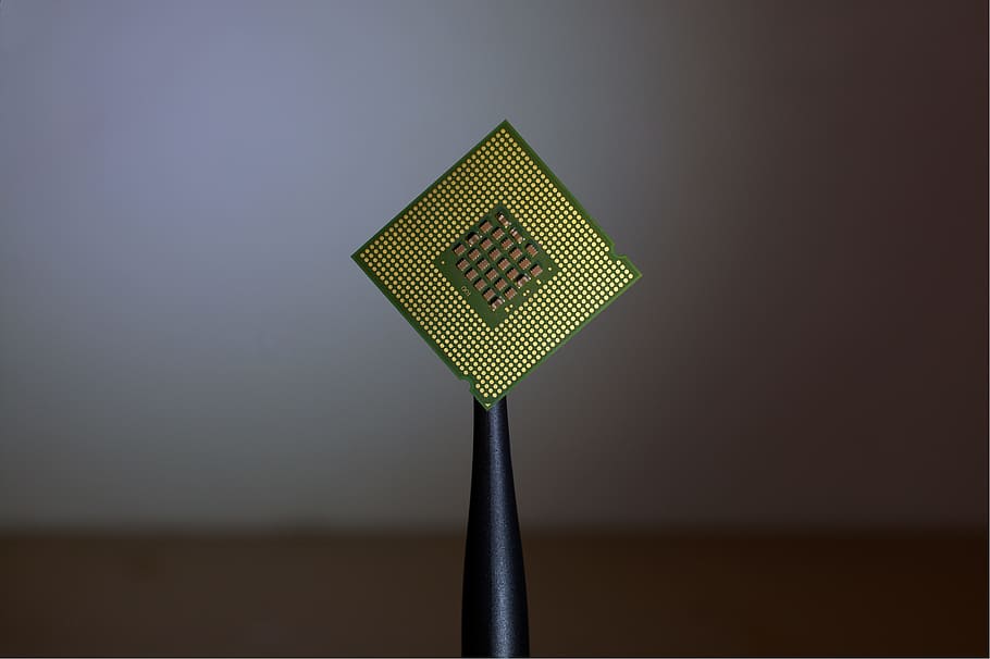 person holding computer cell processor, gold and green computer processor HD wallpaper