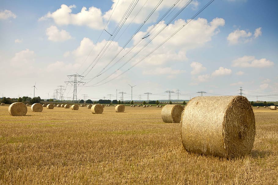 straw bales, nature, field, round bales, hay, harvest, hay bales, HD wallpaper