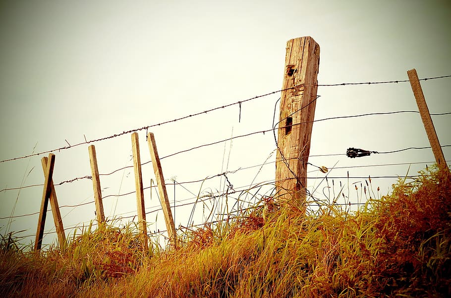 brown wooden barbed wire fence on brown grassland during daytime HD wallpaper