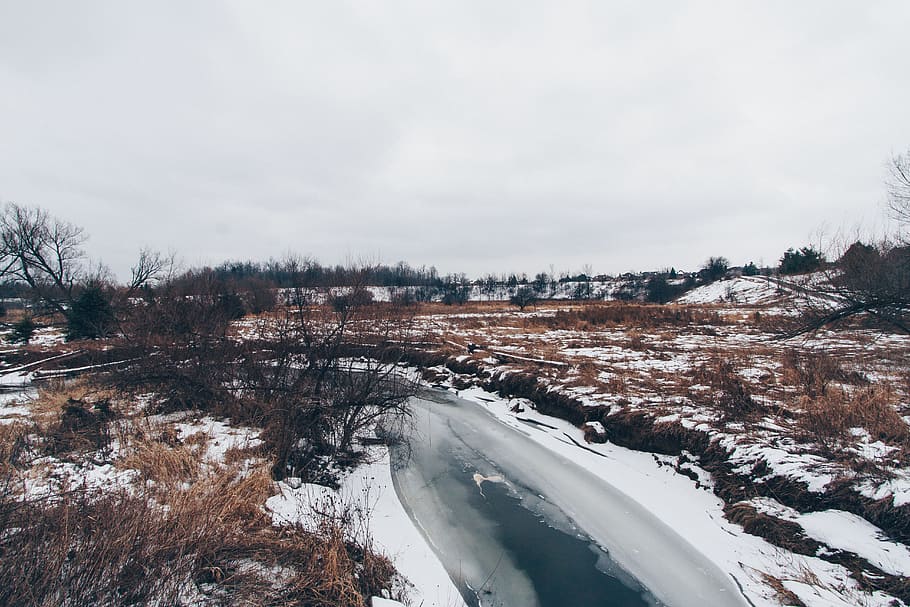 river covered snow under white sky, body of water beside trees and brown plants during daytime HD wallpaper