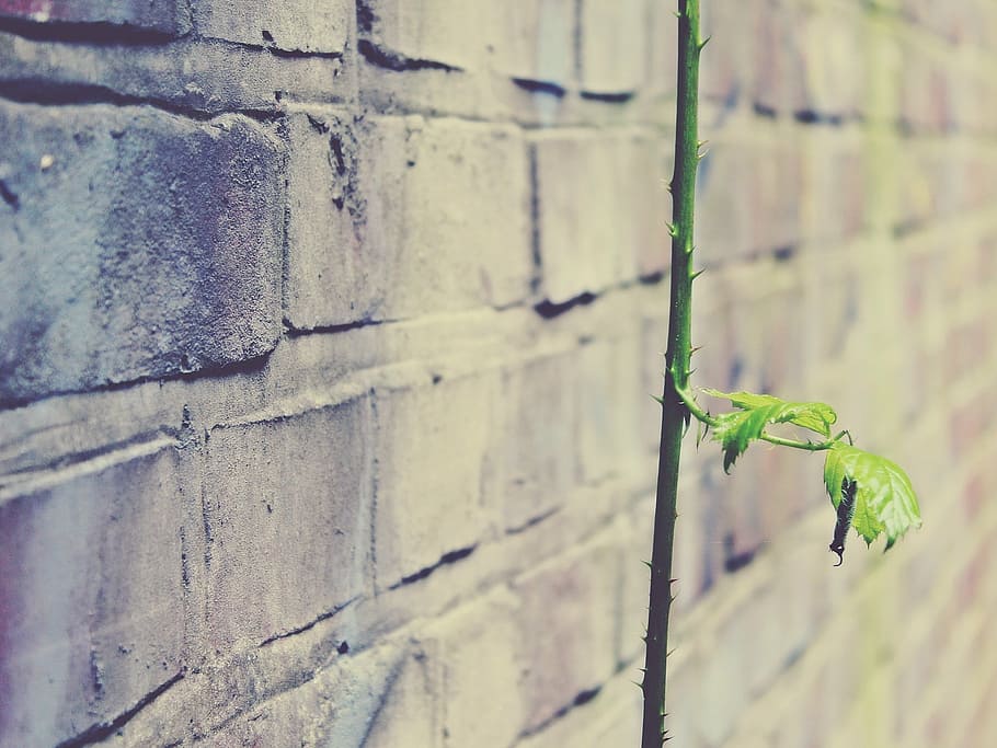 wall, stone, stone wall, masonry, background, facade, brick HD wallpaper
