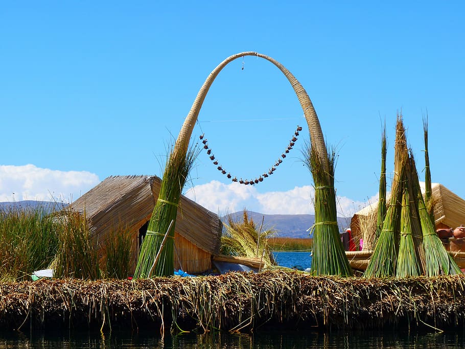 reed, totoraschilf, reed island, rush, lake titicaca, peru, HD wallpaper