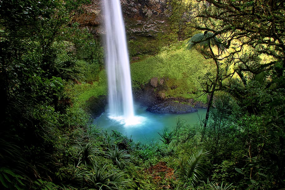 waterfall surrounded with trees, bridal veil fall, water fall
