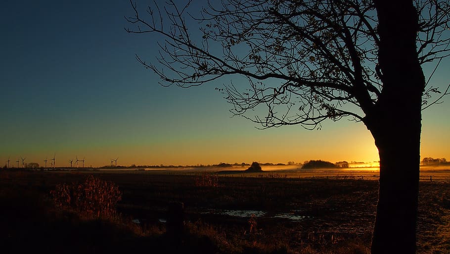 sunset, dawn, landscape, panorama, tree, dusk, nature, northern germany HD wallpaper
