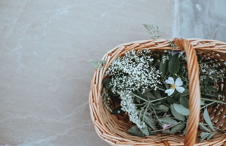 rules of third brown wicker basket, Basket of hedgerow finds HD wallpaper