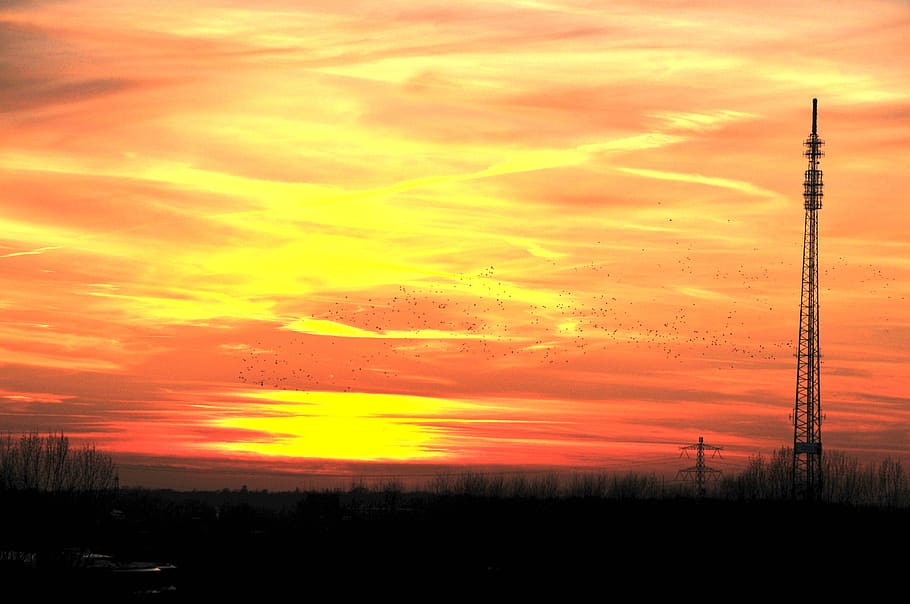 sunset, dawn, silhouette, sky, cloud - sky, orange color, beauty in nature HD wallpaper
