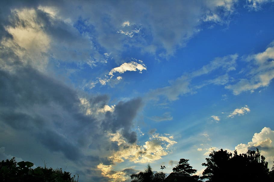 spreading cloud, sky, blue, white, light, tree tops, nature HD wallpaper