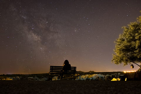 woman sitting on bench along ree, silhouette of a person sitting in the bench watching night sky HD wallpaper