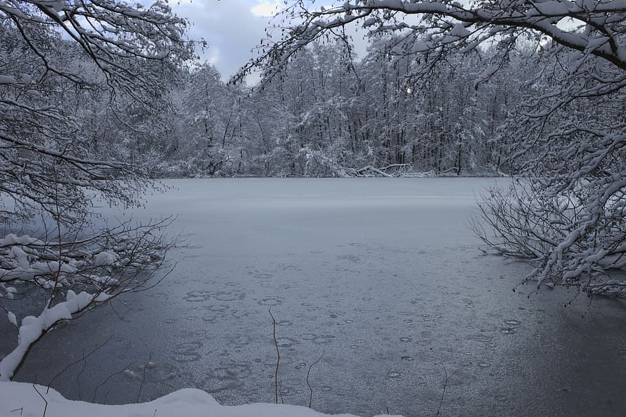 winter, ice, pond, nature, frozen, cold, waters, icy, ice cover HD wallpaper