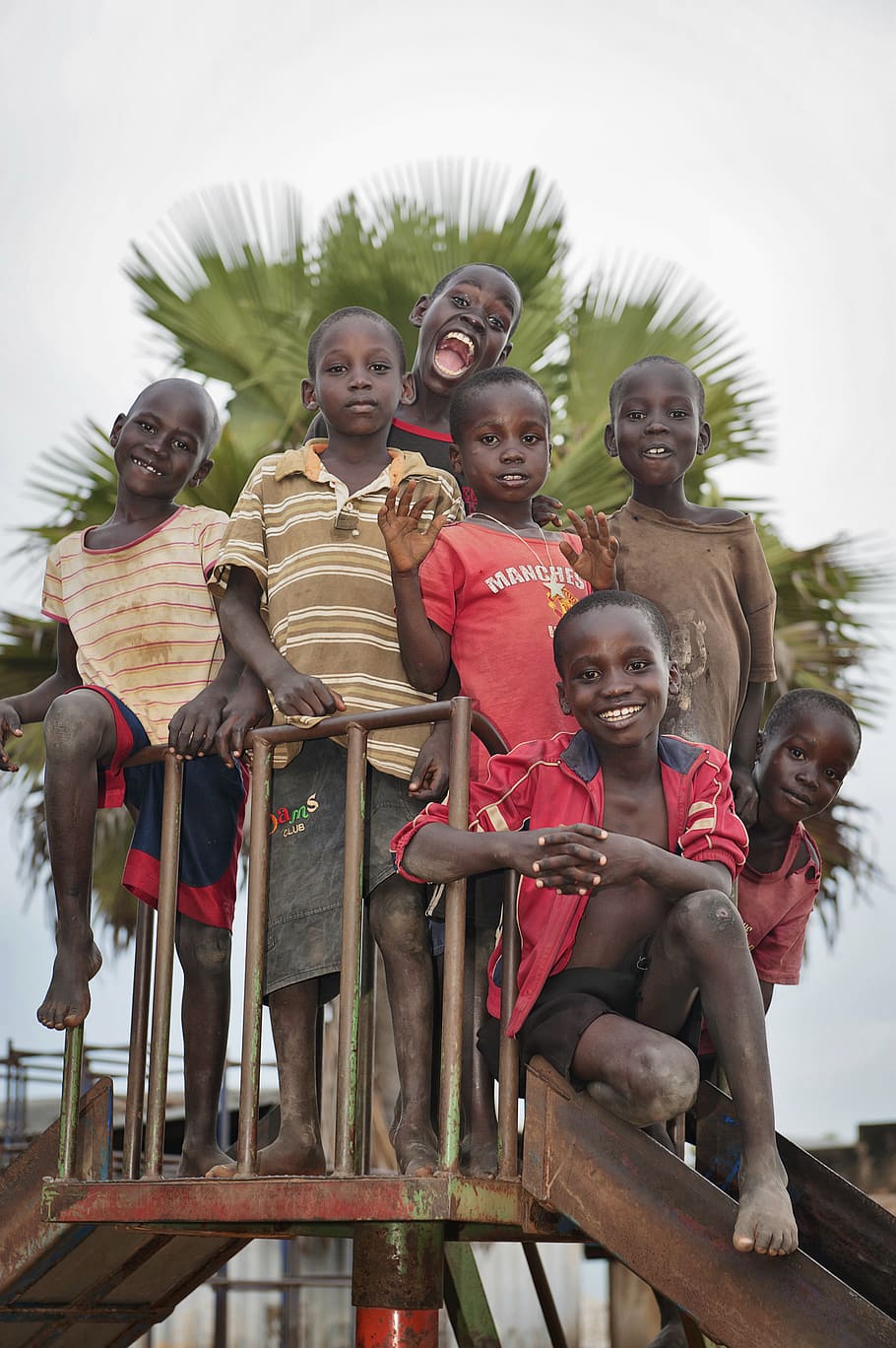 seven boys on slide, children, african, black, happy, young, smile