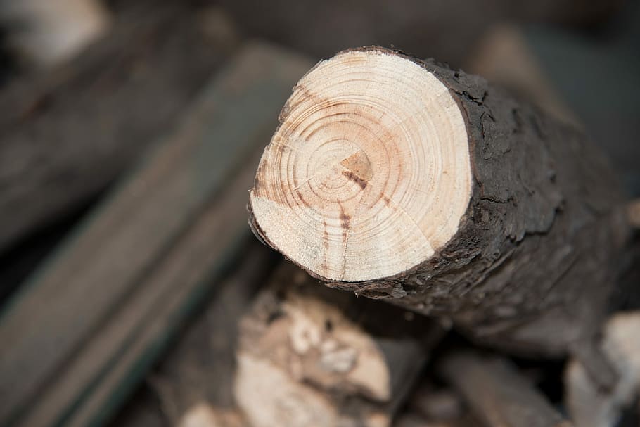 Wood, Annual Ring, Growth Ring, log, stack, timber, wood - material, HD wallpaper