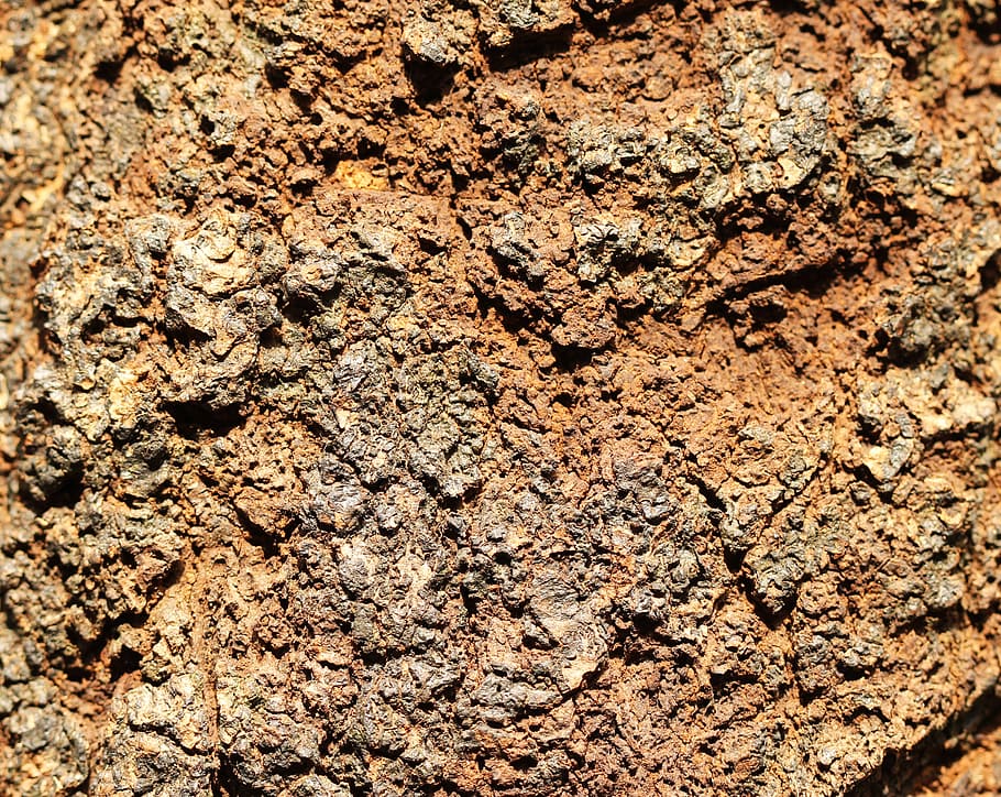 bark, tree, brown, the wall, fabrics, backgrounds, full frame HD wallpaper