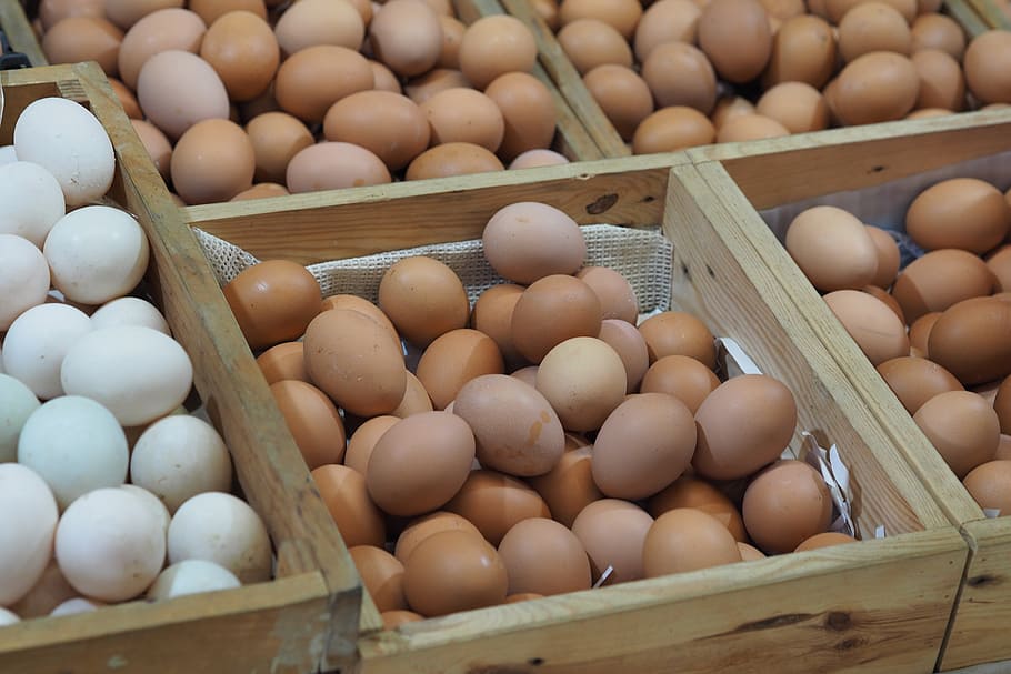bunch of eggs, panel, sell, food, raw materials, nature, foodstuff HD wallpaper