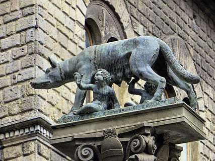 Italy, Hers, Column, She Wolf, Romulus, remus, statue, color HD wallpaper