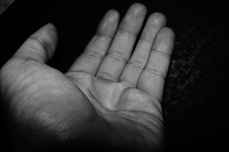 person's left hand, Beg, Want, Hands, gift, give, human body part HD wallpaper