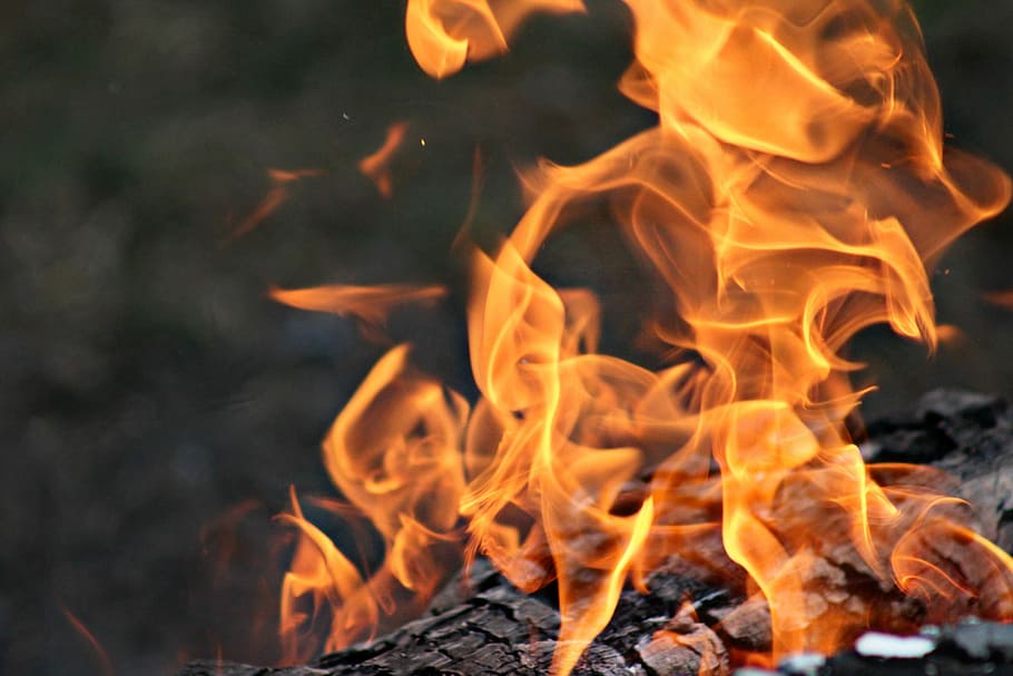 fire, burning, heat, hot, bonfire, campfire, flame, wood, camping HD wallpaper
