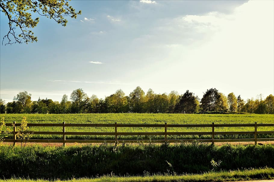 Fence, Sweden, Bed, Grass, Go, Green, blue, blue sky, cloud HD wallpaper