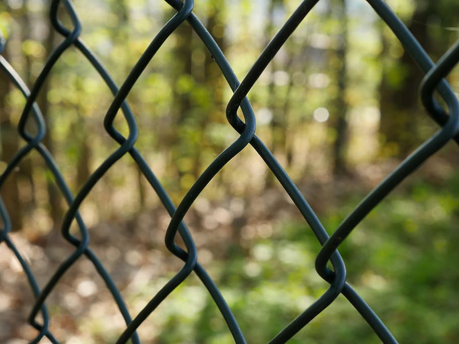 Fence, Wire Mesh, Border, Barrier, separate, separation, fencing HD wallpaper