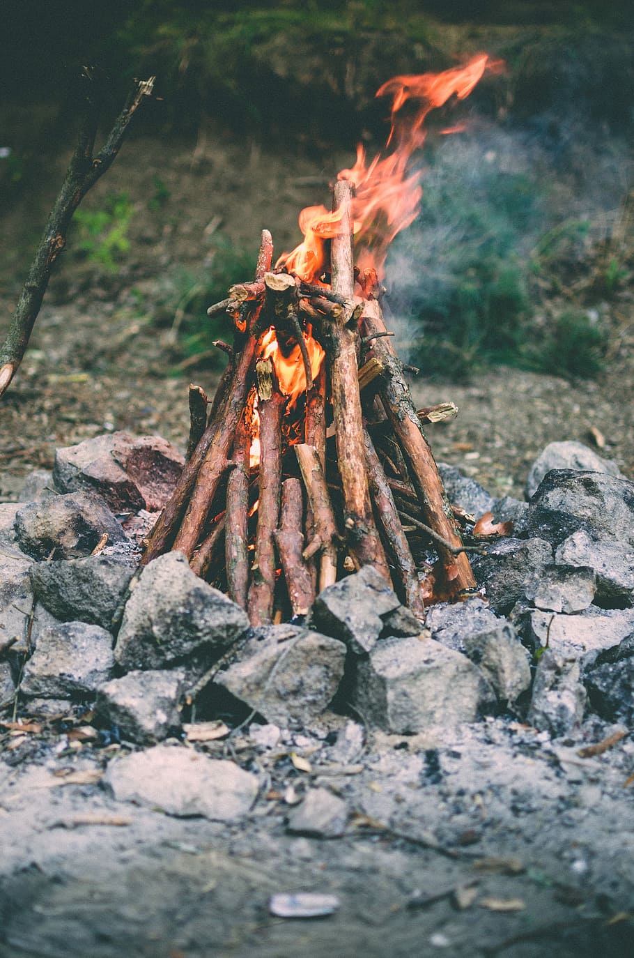 close up photo of bonfire outdoor, photo of bonfire near green grass field HD wallpaper