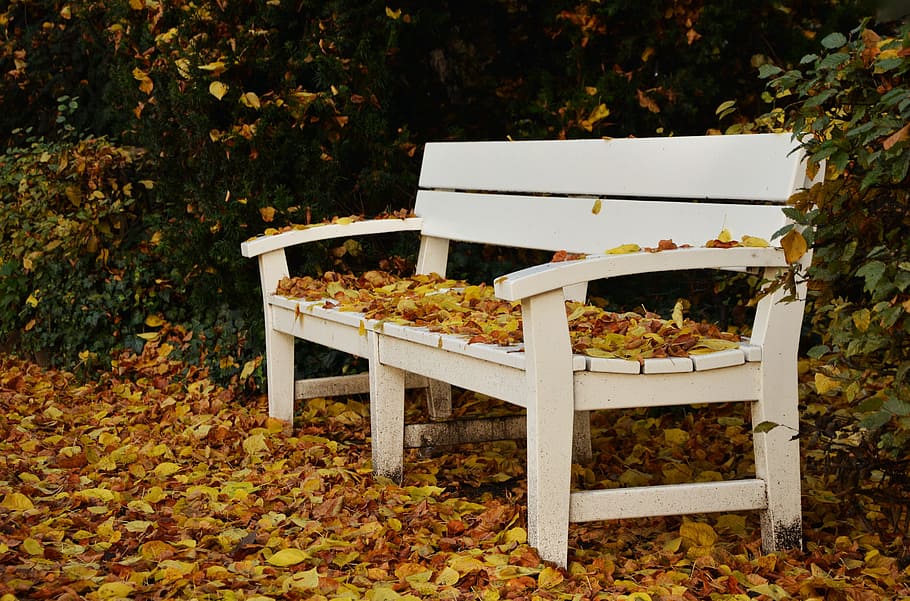 photo of white wooden bench white leaves, park bench, autumn HD wallpaper