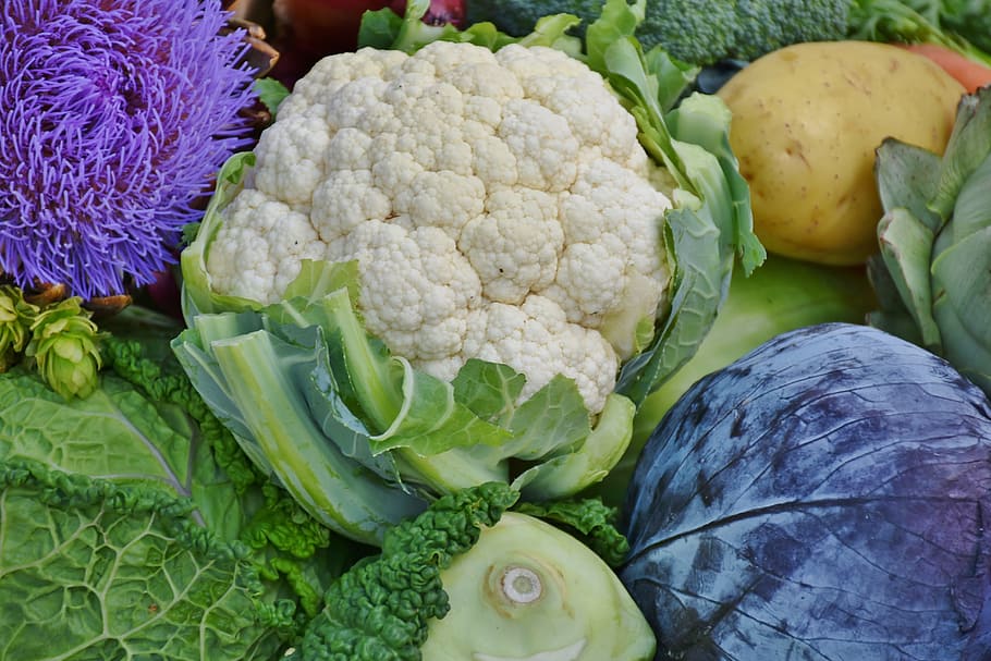 white broccoli beside potato, cauliflower, red cabbage, savoy, HD wallpaper